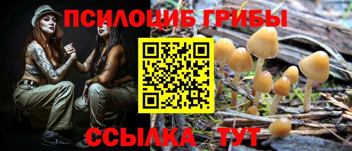 Новокузнецк  Псилоцибиновые грибы Psilocybine cubensis  купить наркотик  Вход с VPN 
